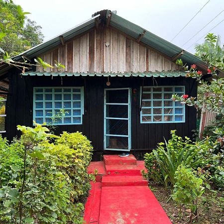 Apartamento Flor De La Selva Puerto Nariño Exterior foto