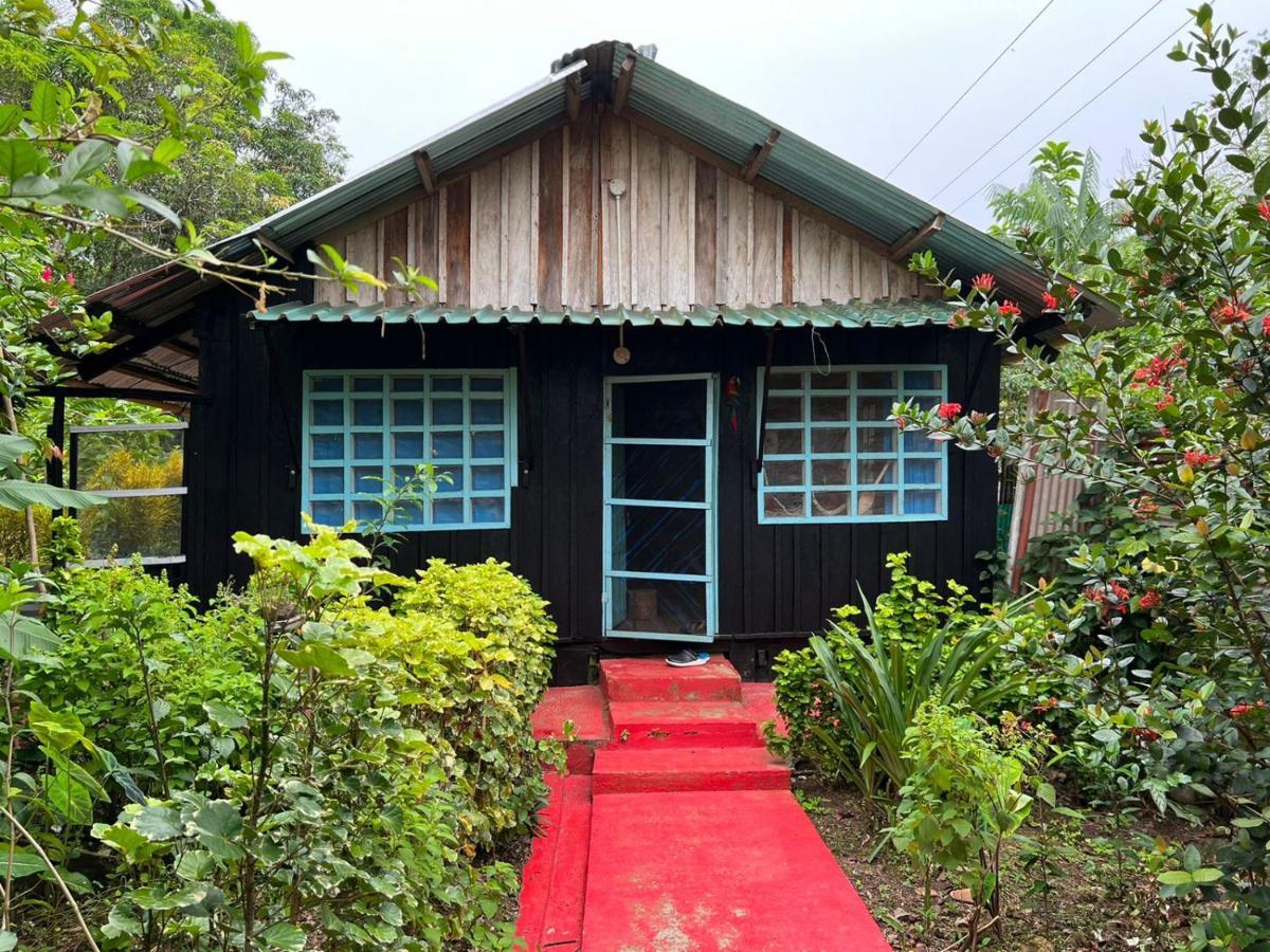 Apartamento Flor De La Selva Puerto Nariño Exterior foto