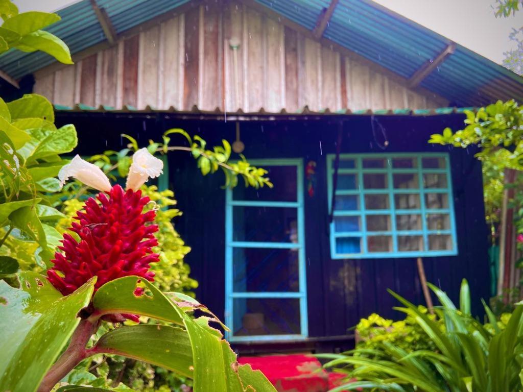Apartamento Flor De La Selva Puerto Nariño Exterior foto
