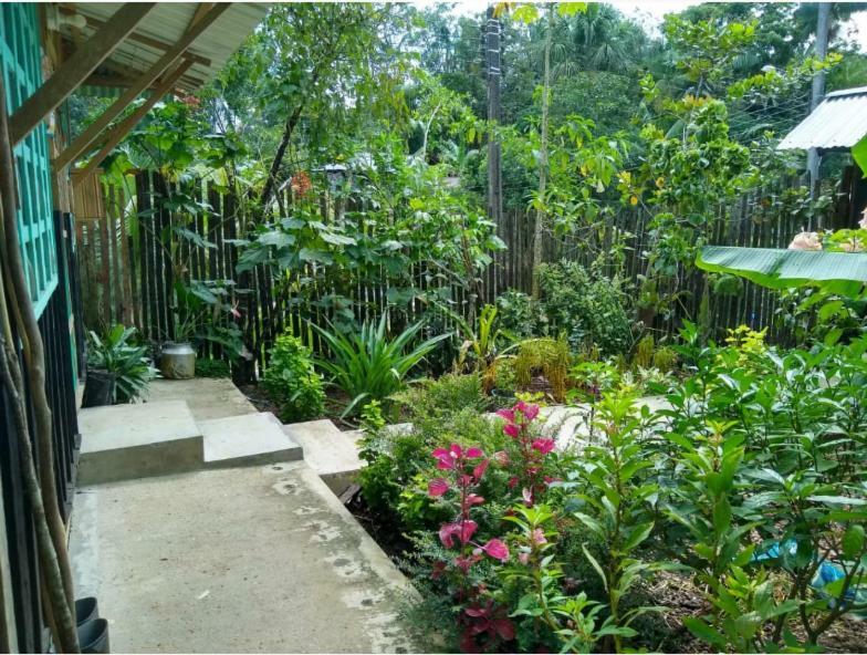 Apartamento Flor De La Selva Puerto Nariño Exterior foto